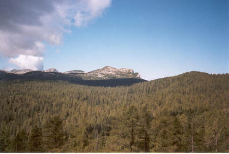 ForestaAltipiano