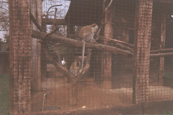 Zoo Cartigliano